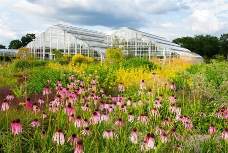 Glasshouse landscape in Summer RHS Wisley Garden 2082463431 768x517