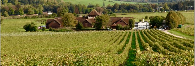 Screenshot 11 8 2025 101152 www.backontrack.live  768x262