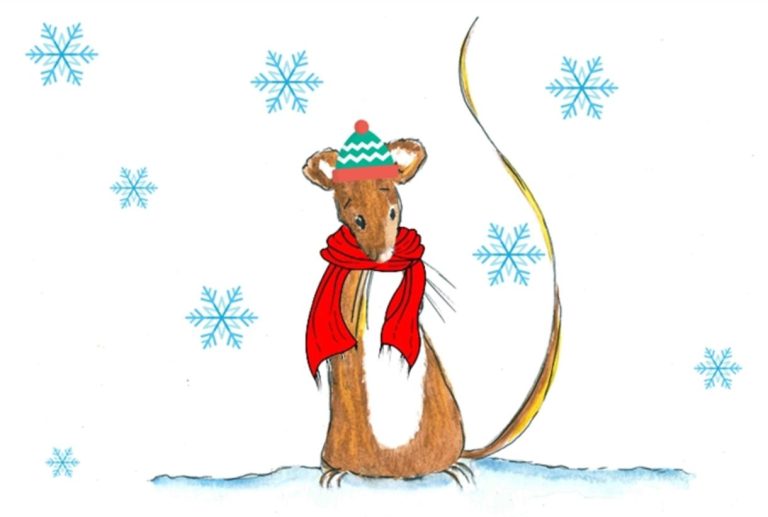 Mouse and Sam winter holiday 785x525 1  1318671393 768x517