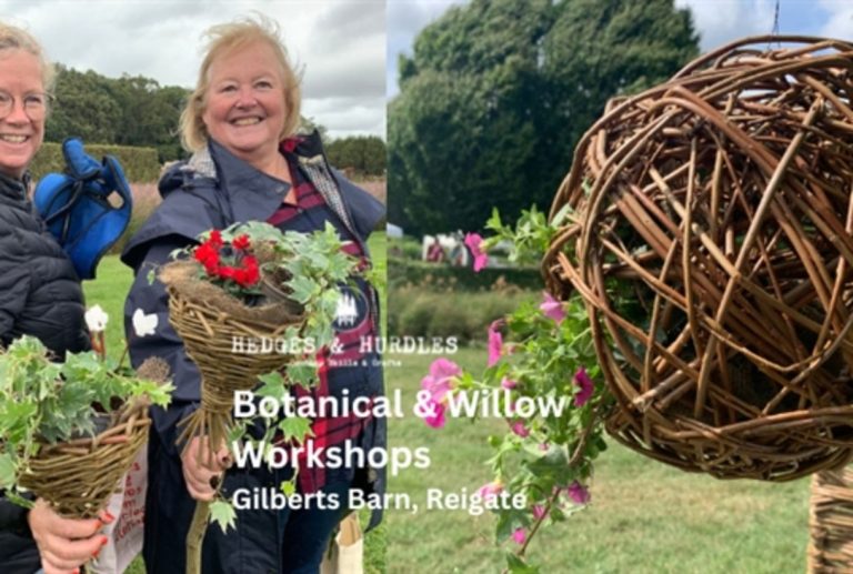 BotanicalAndWillow Gilberts Events 682682174 768x517