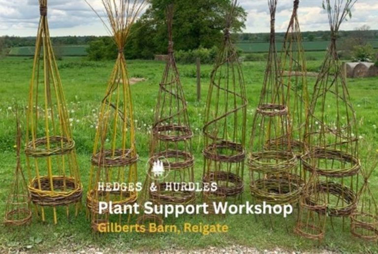 PlantSupports GilbertsEvents 626589614 1 768x517