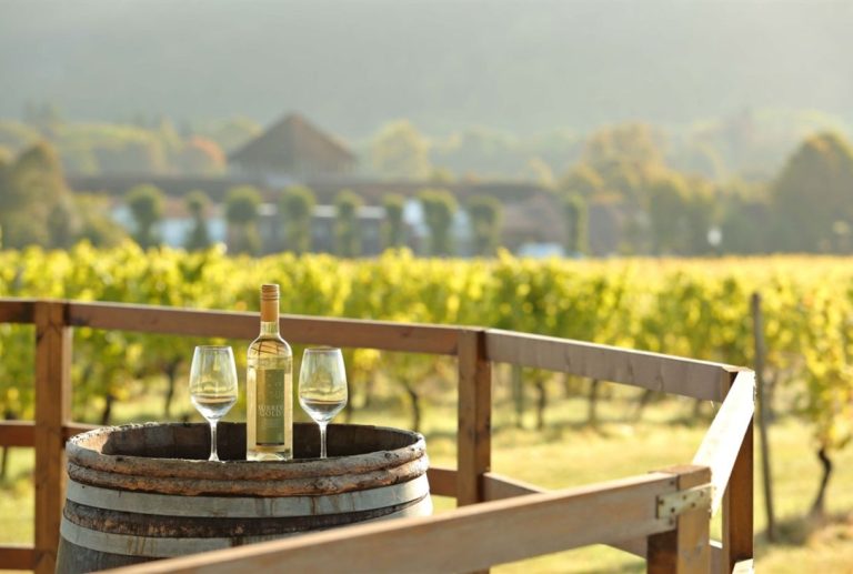 Denbies wine 1060854192 768x517