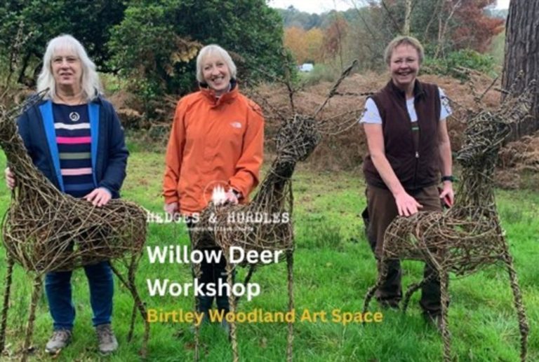 WillowDeerWorkshop BWASEvent 222957520 768x517