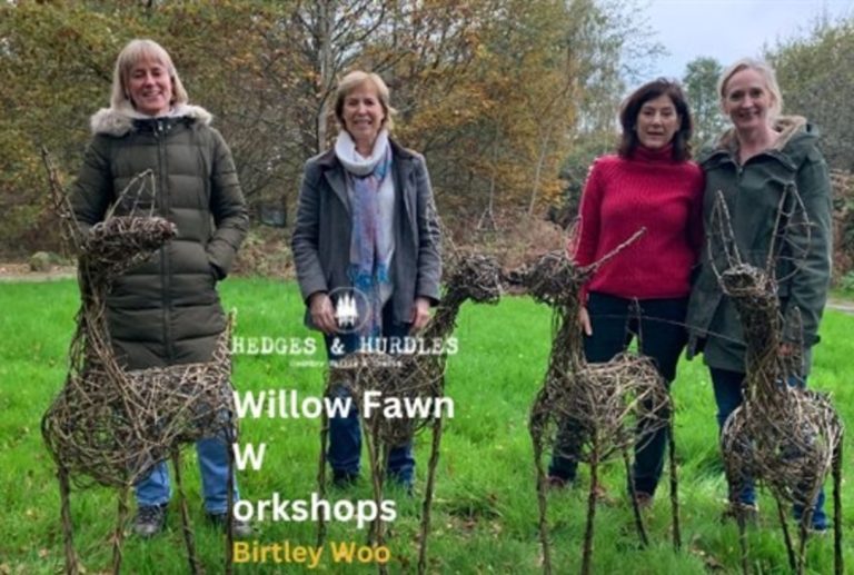 WillowFawnWorkshop BWASEvent 978770124 768x517
