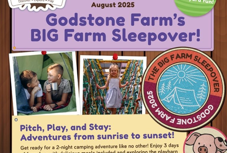 8821 Godstone Farm The Big Farm Sleepover 2025 RGB Visit Surrey 950x934 957557241 1 768x517