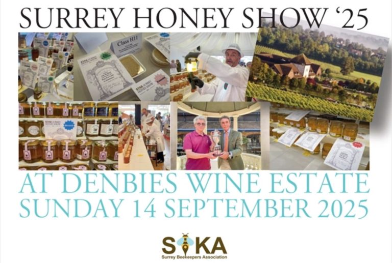 Honey Show Sept 2025 820937825 768x517