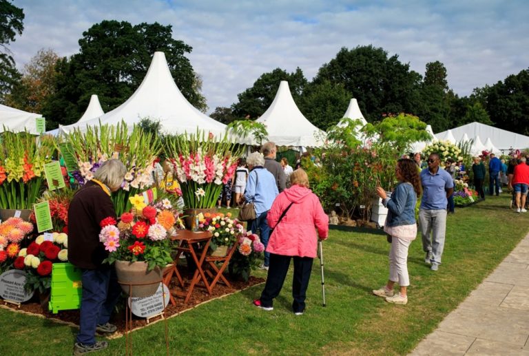 Press RHS Garden Wisley Flower Show Opening Day 2019 1  2085013402 768x517