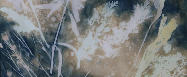 S.3.Framed Liz Mundle Spring is on its way. Hand coloured Cyanotype monotype 33x43 240 76222c960d400fcf3d64ba913ede3114 768x318