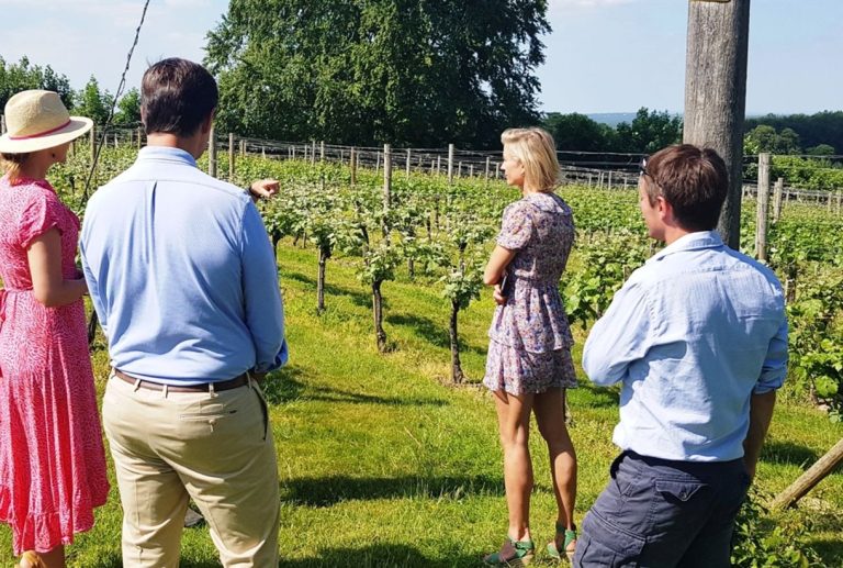 Wine tour at High Clandon 1509994687 768x517